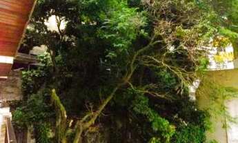 Imagem 5: Apartamento para Aluguel - Lagoa, 2 Quartos, 99 m2