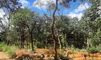 Imagem 4: Chácara no Jandins Morumbi Planaltina-DF