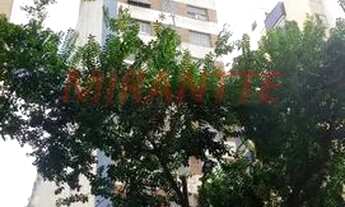 Imagem 3: Apartamento de 35m² com 1 quartos em Santa Cecilia