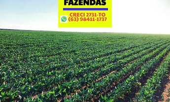 Imagem 3: Fazenda plantando região central Tocantins saindo a 84 mil por alqueires