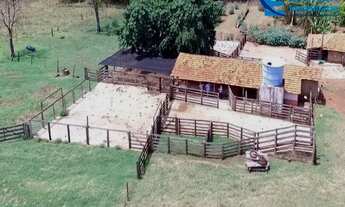 Imagem 2: Fazenda em Gurinhatã - MG com 137,94 hectares, ou seja 28,50 alqueires