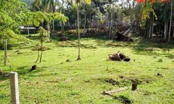Imagem 4: Terreno à venda, 43.356 m² - Itoupava Central - Blumenau/SC