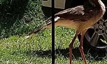 Imagem 5: Sítio do Mota Granja da Flávia Motq