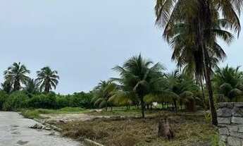 Imagem 2: Área de 835m2 em Milagres