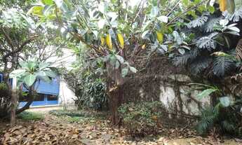 Imagem: São Paulo - Casa Padrão - VILA NOVA CONCEIÇÃO