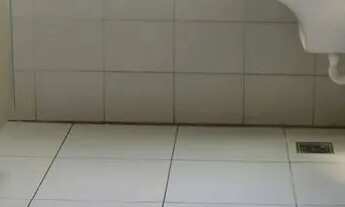 Imagem 2: Alugo 2 dorm nova aliança