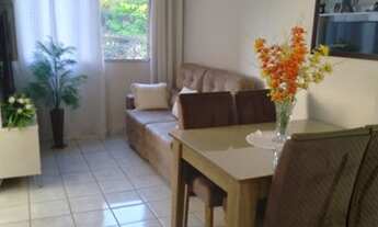 Imagem 7: PIRITUBA - (RUVD-1230AP