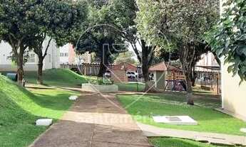 Imagem 5: LONDRINA - Padrão - Jardim das Américas