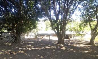 Imagem 7: Excelente oportunidade!! vendo ótima chácara de 7.500 metros no marajó