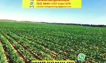 Imagem: Fazenda plantando região central Tocantins