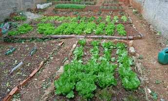 Imagem 5: VENDE-SE TERRENO DIRETO COM PROPRIETÁRIO