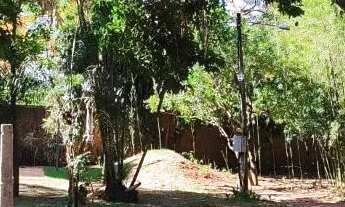 Imagem 6: Chácara de 4000m² com duas casas, piscina e muito verde