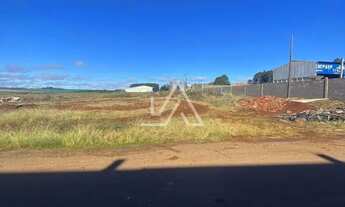 Imagem 3: TERRENO À VENDA - ÁREA INDUSTRIAL DE COXILHA/RS