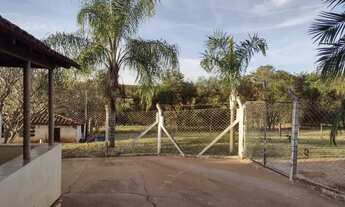 Imagem 6: CEDRAL (SP) Ótimo Sítio com 1,5 alqueires