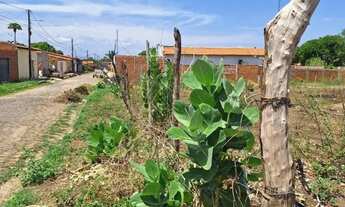 Imagem 6: Terreno para Venda em Teresina, Angelim