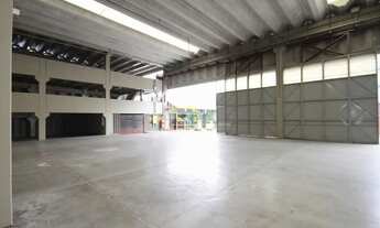 Imagem 5: Galpão / Barracão para locação, Parque Novo Mundo, São Paulo, SP