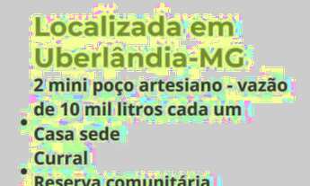 Imagem 3: Excelente sítio próximo Uberlândia 37,62 hectares