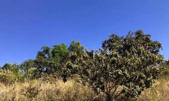 Imagem 6: Sítio à venda, 0 m² por R$ 200.000 - Zona Rural - Perdizes/MG