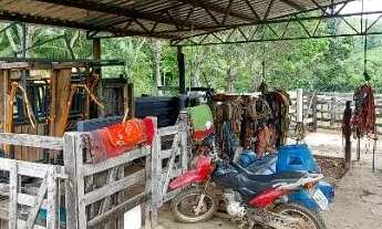 Imagem 5: Vende-se Fazenda 35 Alqueires em Barrolândia To