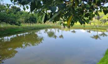 Imagem 3: Terrenos de 1.000m² em condomínio aberto com portaria