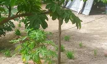 Imagem: Casa centro do pecem