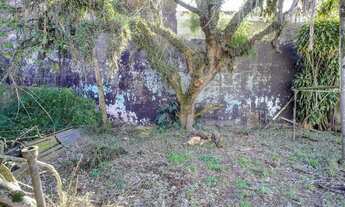 Imagem 7: Terreno para aluguel Pelotas