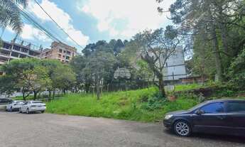 Imagem 3: Vendas Terreno Curitiba PR