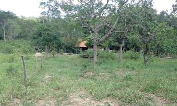 Imagem 3: Chácara 3 alqueires em Vianópolis