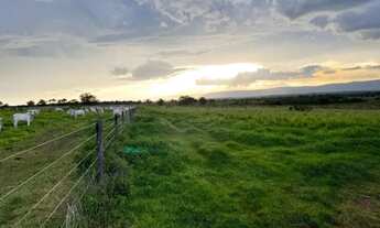 Imagem 3: Fazenda a venda, em Flores de Goiás- GO