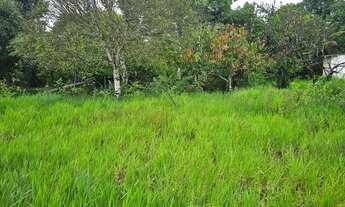 Imagem 7: Vendo excelente sítio fins comerciais em laje