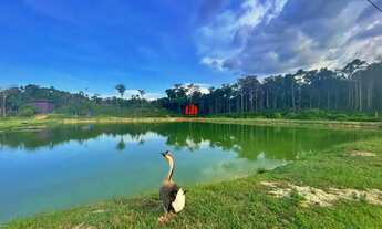 Imagem 2: Fazenda com 128 Hectares disponível pra Venda na Br 174 KM 75