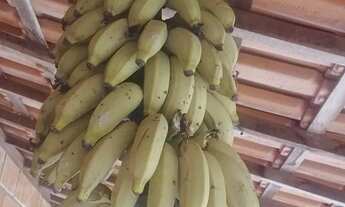 Imagem 5: Chácara à venda, LAGEADINHO, Ibiúna, SP