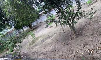 Imagem 3: Vendo mini Sítio !