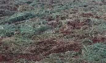 Imagem 5: Vendo chácara 3 mil metros Ponte alta Gama Aceita carro no negócio valor 150 mil c