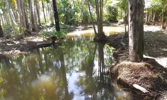 Imagem 6: SÍTIO Salinopolis 200 metros pista, 10 minutos praia Atalaia