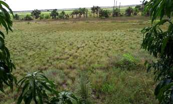 Imagem: Terreno, área de chácara