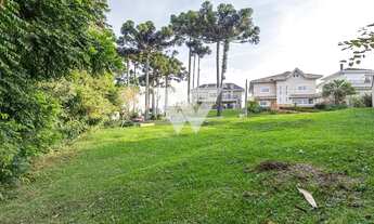 Imagem 7: Terreno Condominio Paraiso do Bosque, Abranches Oportunidade Investimento ou Construção