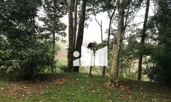 Imagem 3: Sítio com 9 dormitórios à venda, 20000 m² por R$ 1.100.000,00 - Zona Rural - Alfredo Chave