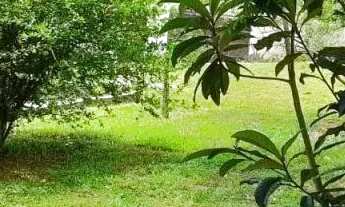 Imagem 7: CASA TÉRREA - ALVARENGA - SP