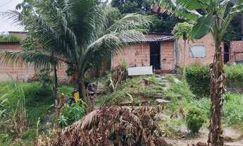 Imagem 2: Terreno com a casa de ovenaria