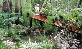 Imagem: Chácara em condomínio em Área Rural