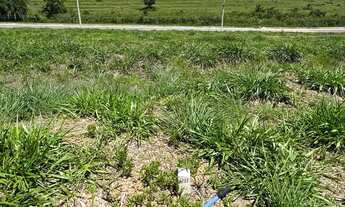 Imagem 3: Opurtunidade ágio - LOTE VINHAS FLAMBOYANT