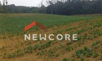 Imagem 2: Chácara em Área Rural - Área Rural de São José dos Pinhais - São José dos Pinhais/PR