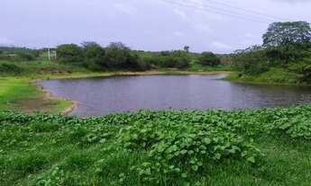 Imagem: Fazenda na Guaiúba 23 hectares,grandes