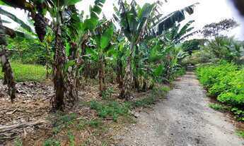 Imagem 5: Chácaras no Horto Baratinha