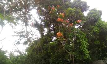 Imagem 5: A 5 minutos da BR 101 em Itaúna -SG