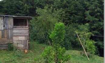 Imagem 4: Encantadora Chácara de 12.600m2 na Zona Urbana, Marmelópolis/MG