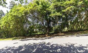 Imagem 6: Barueri - Terreno Padrão - Alphaville