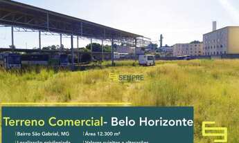 Imagem: Terreno para alugar, 12.300 m² - São Gabriel