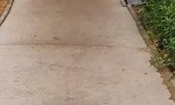 Imagem 7: Alugo 2 dorm nova aliança